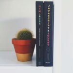 Livros de Javascript e HTML em uma estante minimalista